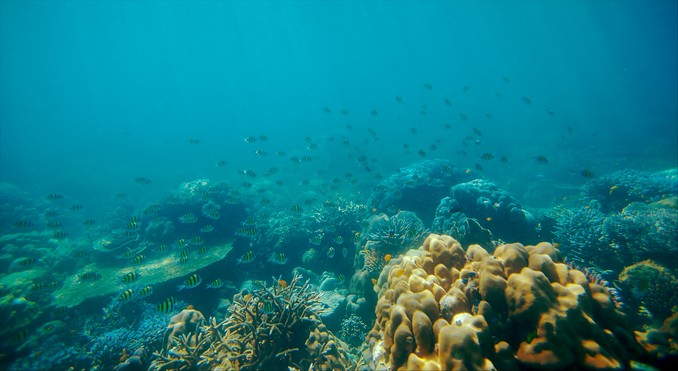 Image courtesy of Tourism Media