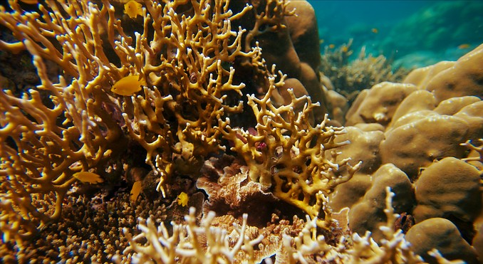 Image courtesy of Tourism Media