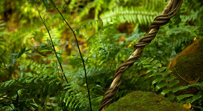 Image courtesy of Tourism Media