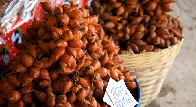 Image courtesy of Tourism Media