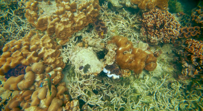 Image courtesy of Tourism Media