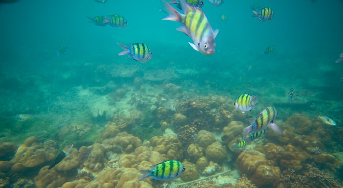 Image courtesy of Tourism Media