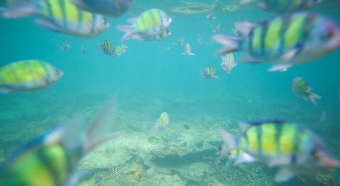 Image courtesy of Tourism Media