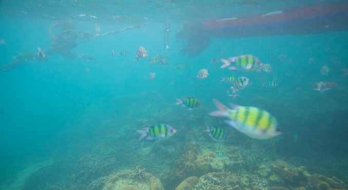 Image courtesy of Tourism Media