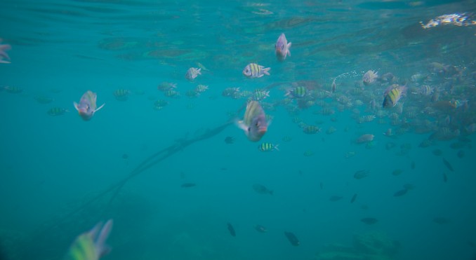 Image courtesy of Tourism Media