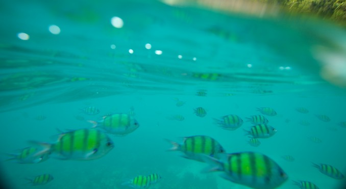 Image courtesy of Tourism Media