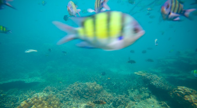 Image courtesy of Tourism Media