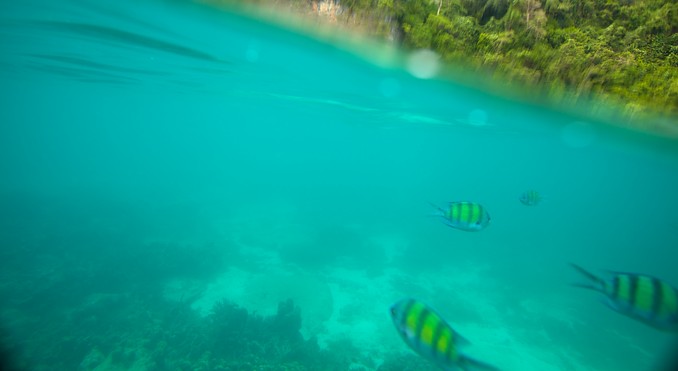 Image courtesy of Tourism Media