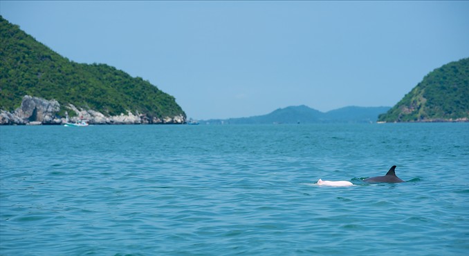 Image courtesy of Tourism Media