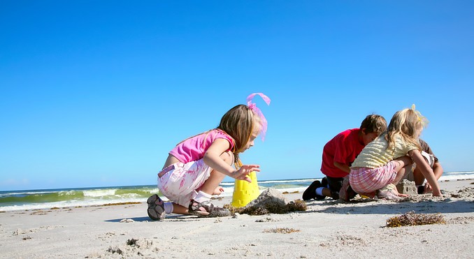 Image courtesy of VISTFLORIDA.com