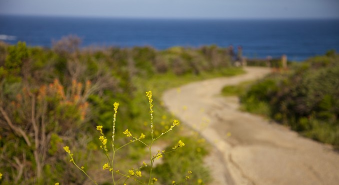 Image courtesy of Tourism Media