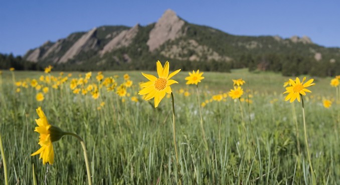 Image Courtesy of Colorado Tourism Office/Matt Inden/Weaver Multimedia Group