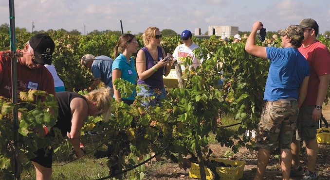 Image courtesy of TravelTex.com