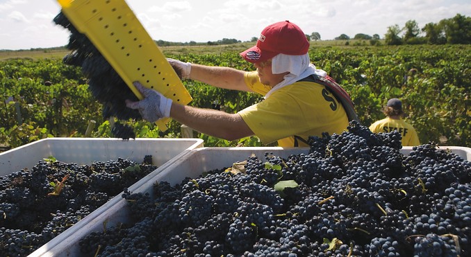 Image courtesy of TravelTex.com