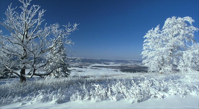 Image Courtesy of West Virginia Department of Commerce and Stephen Shaluta