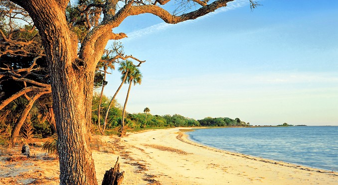 Image courtesy of VISTFLORIDA.com