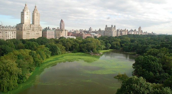 Image courtesy of NYC & Company, Inc