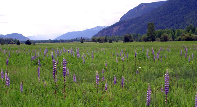 Clark Fork