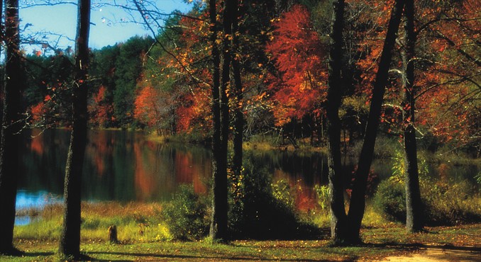 Image courtesy of TravelTex.com