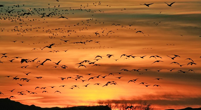 Delta, Utah