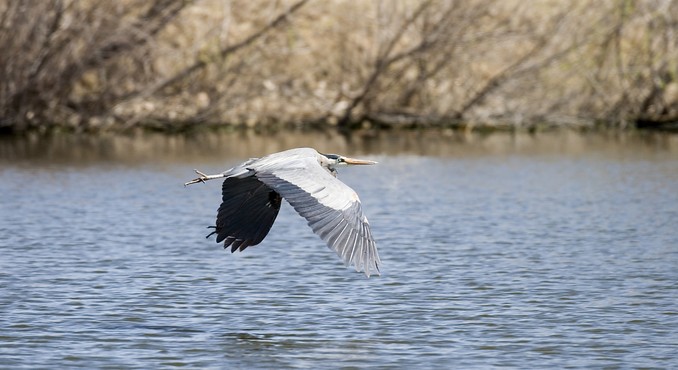 Image Courtesy of Colorado Tourism Office/Matt Inden/Weaver Multimedia Group