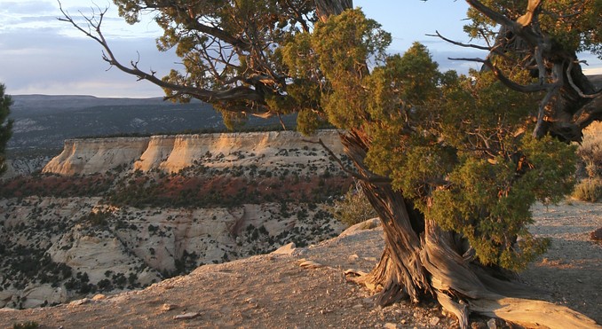 Image Courtesy of Colorado Tourism Office/Matt Inden/Weaver Multimedia Group