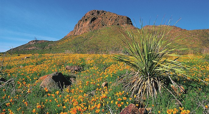 El Paso