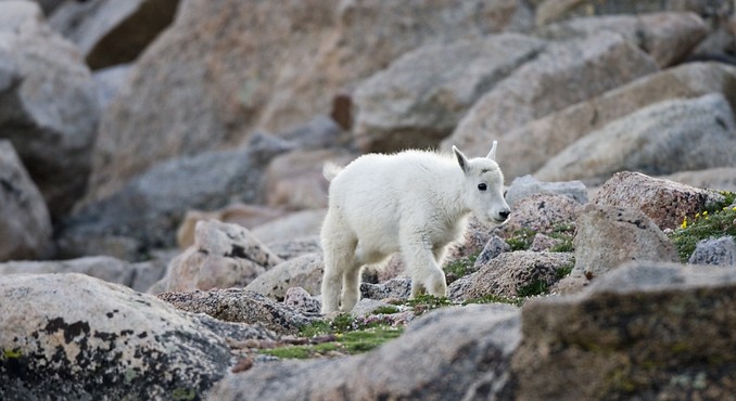 Image Courtesy of Colorado Tourism Office/Matt Inden/Weaver Multimedia Group