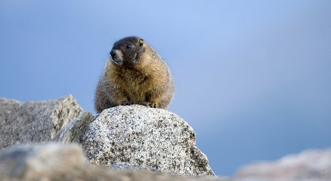Image Courtesy of Colorado Tourism Office/Matt Inden/Weaver Multimedia Group