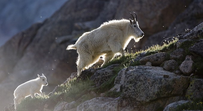 Image Courtesy of Colorado Tourism Office/Matt Inden/Weaver Multimedia Group