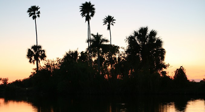 Image courtesy of VISTFLORIDA.com
