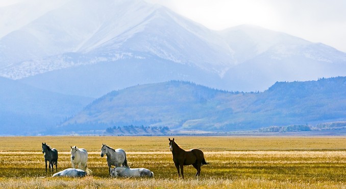 Image Courtesy of Colorado Tourism Office/Matt Inden/Weaver Multimedia Group