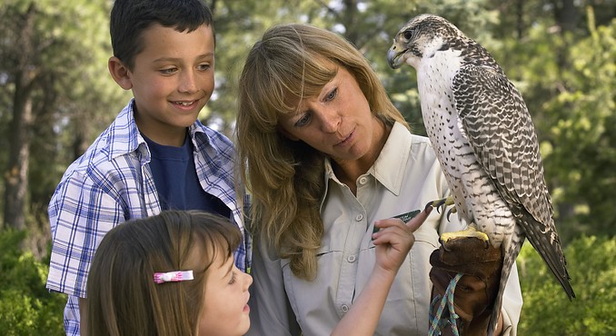 Image courtesy of Flagstaff Convention and Visitors Bureau