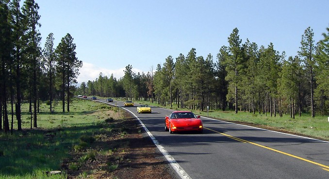 Image courtesy of Flagstaff Convention and Visitors Bureau