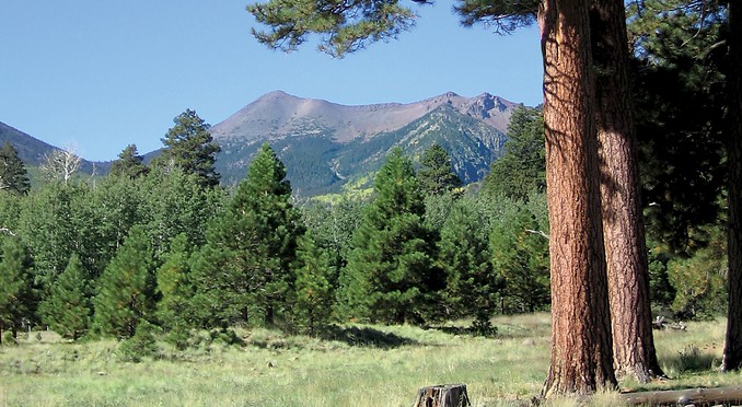 Image courtesy of Flagstaff Convention and Visitors Bureau