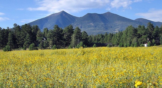 Image Courtesy of Flagstaff Convention and Visitors Bureau and The Arizona Snowbowl