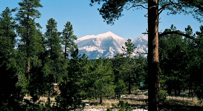 Image Courtesy of Flagstaff Convention and Visitors Bureau and The Arizona Snowbowl