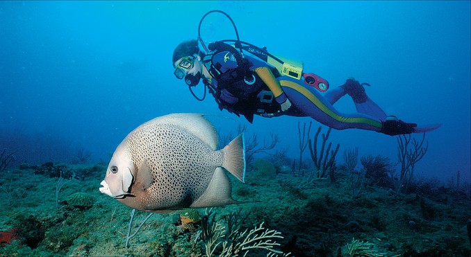 Image courtesy of VISTFLORIDA.com