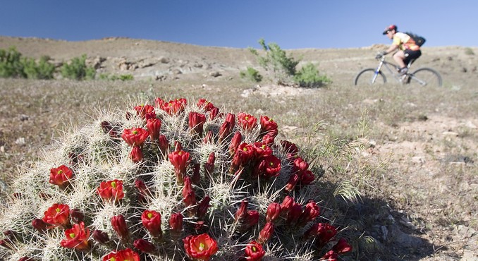 Image Courtesy of Colorado Tourism Office/Matt Inden/Weaver Multimedia Group