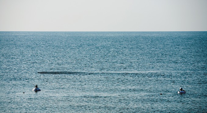 Galveston