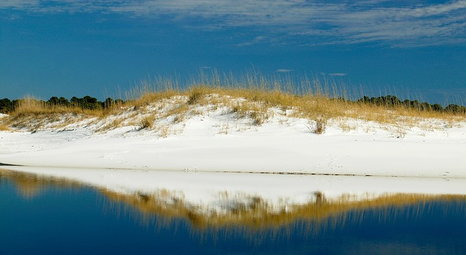 Image courtesy of VISTFLORIDA.com