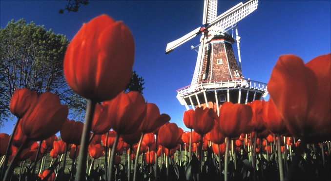 Image Courtesy of Michigan Economic Development Corporation / Vito Palmisano