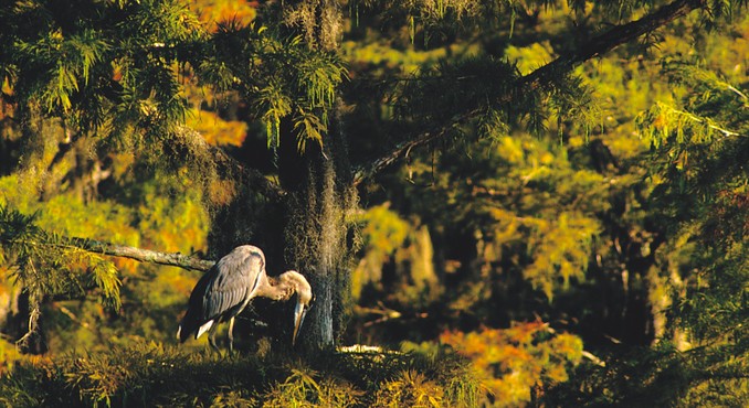 Image courtesy of TravelTex.com
