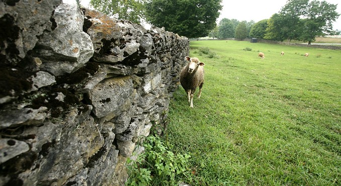 Kentucky