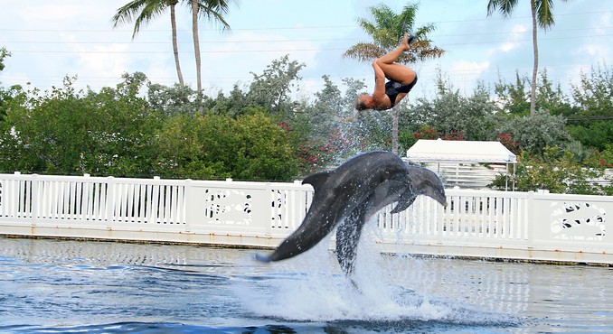 Image courtesy of VISTFLORIDA.com