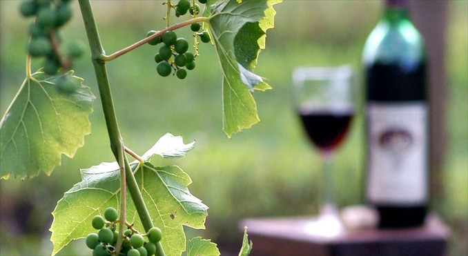 Image courtesy of www.kentuckytourism.com