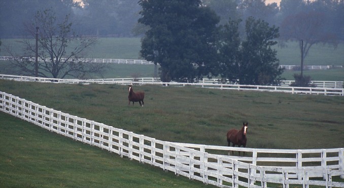 Image courtesy of www.kentuckytourism.com