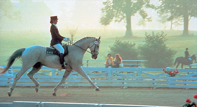 Image courtesy of www.kentuckytourism.com