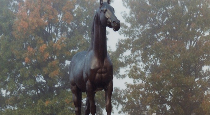 Image courtesy of www.kentuckytourism.com