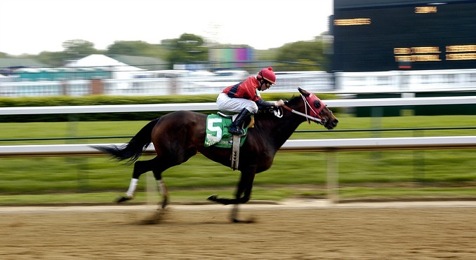Image courtesy of www.kentuckytourism.com
